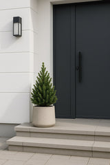 Picea Glauca December - Zwergfichte Ø:26 H:90 cm