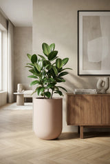 Zenith Elemental - Puderrosa Finestgreen 