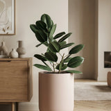 Zenith Elemental - Puderrosa Finestgreen 