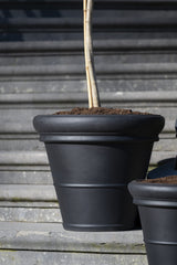 Pflanzkübel Bucket Low Classic Schwarz in Nahaufnahme mit umlaufender Bordüre und matter Oberfläche vor Steinstufen