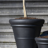 Pflanzkübel Bucket Low Classic Schwarz in Nahaufnahme mit umlaufender Bordüre und matter Oberfläche vor Steinstufen