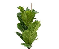 Konfigurator