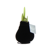 Amaryllis in Wachs – Velvet Schwarz