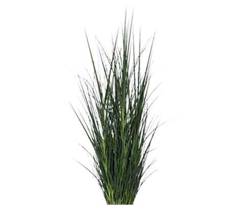 Gras künstlich - pflegefrei & raumhoch, H:173cm