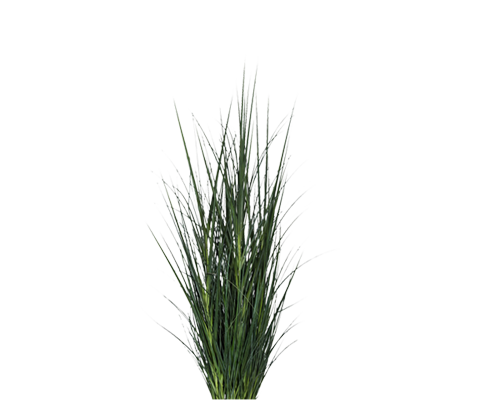 Gras Künstlich - Pflanzen Finestgreen | Künstliche