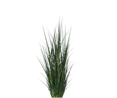 Gras künstlich - täuschend echt, H:107cm