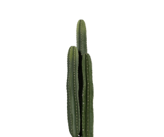 Konfigurator