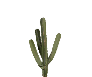 Kaktus Cereus Künstlich H: 55cm