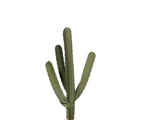 Kaktus Cereus Künstlich - Künstliche Pflanzen