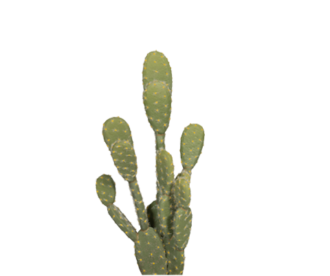 Kaktus Opuntia Künstlich H: 72 cm