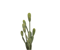 Konfigurator