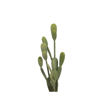 Kaktus Opuntia Künstlich H: 41cm