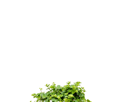 Konfigurator