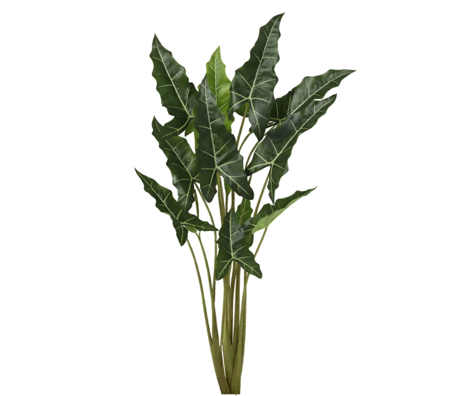Alocasia Taro künstlich, H: 140cm