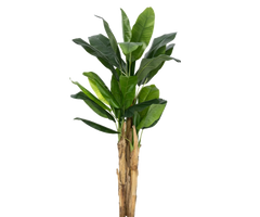 Konfigurator