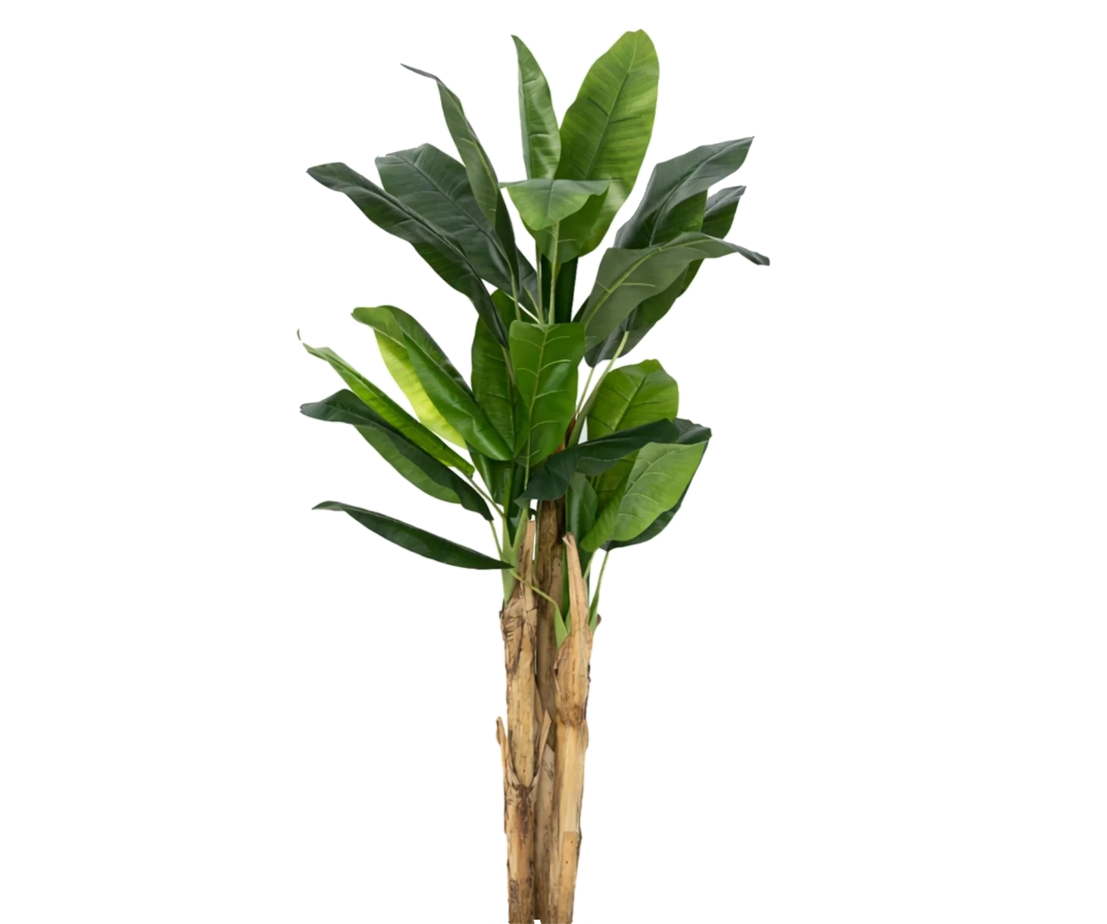 Bananenbaum künstlich, H: 160cm
