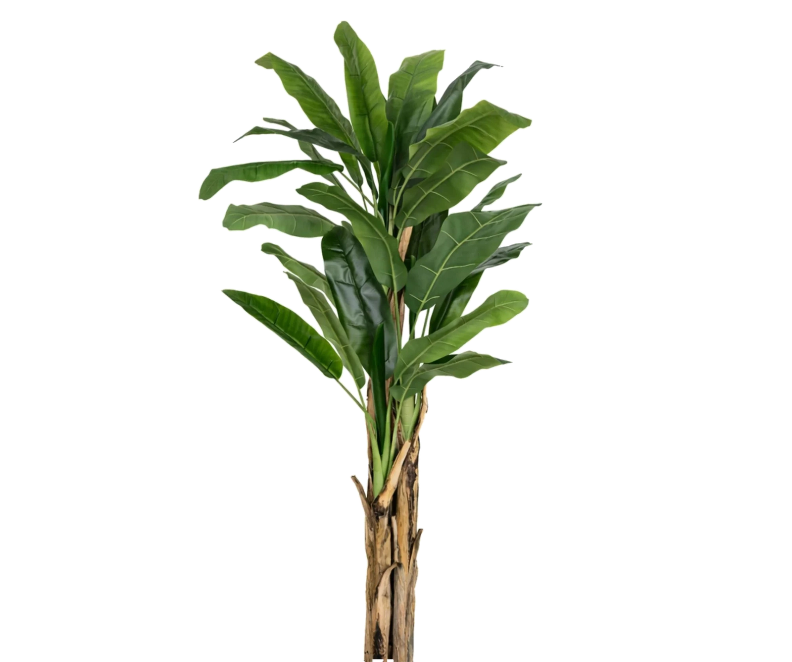 Bananenbaum künstlich, H: 205cm