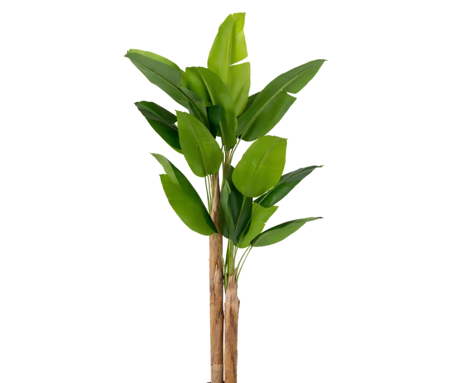 Bananenbaum künstlich, H: 220cm