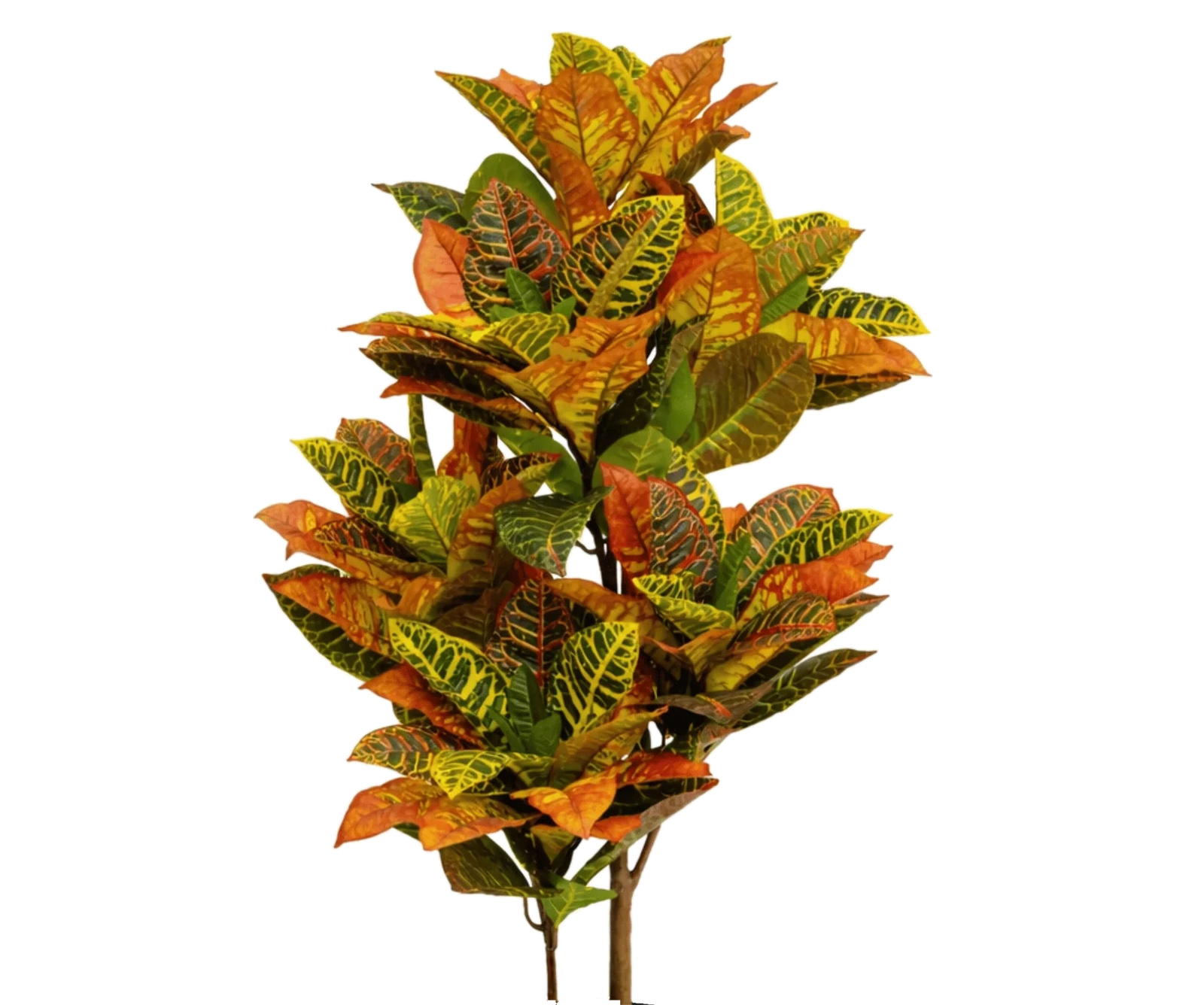 Codiaeum Wunderstrauch künstlich, H: 118cm
