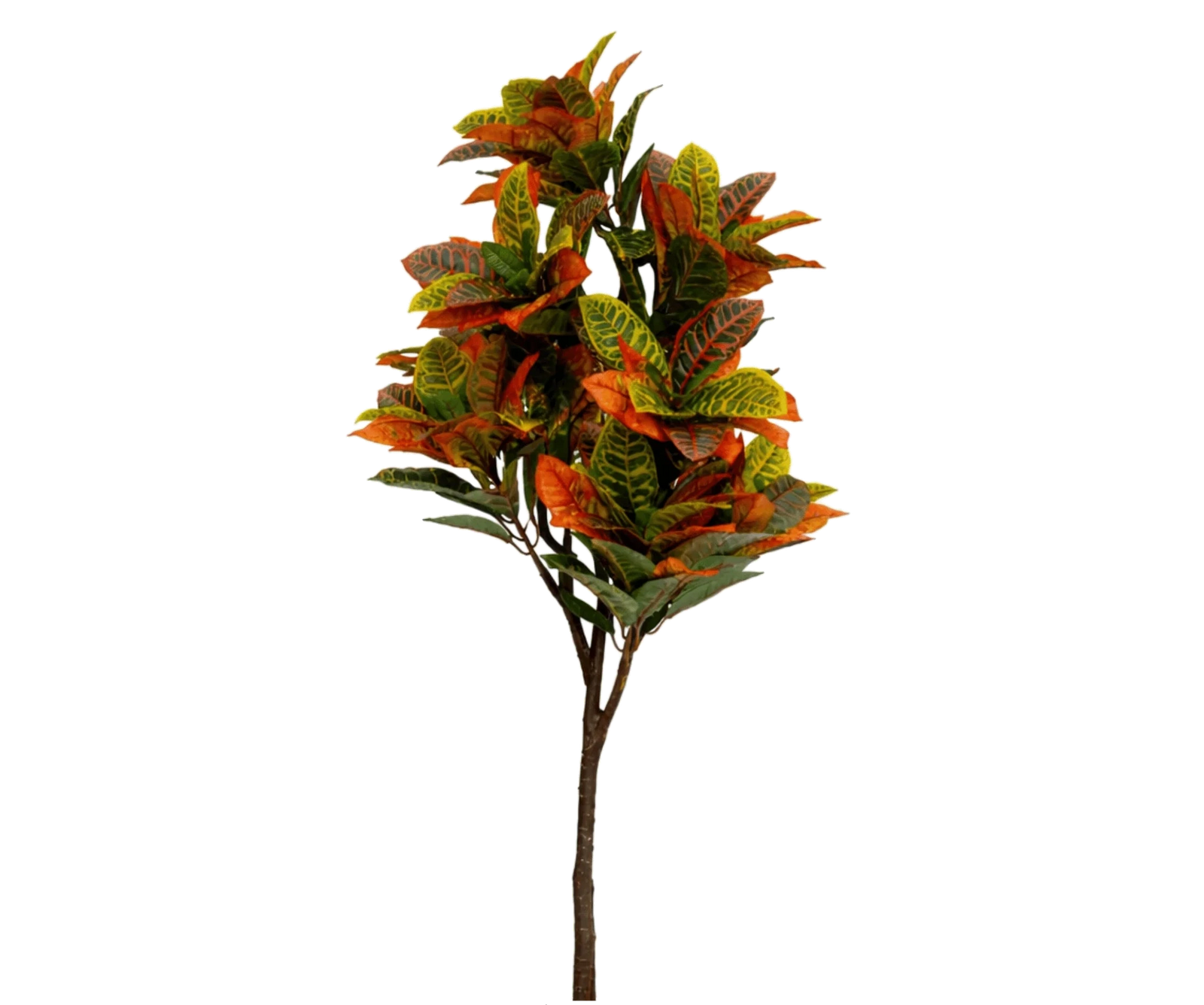 Codiaeum Wunderstrauch künstlich, H: 150cm