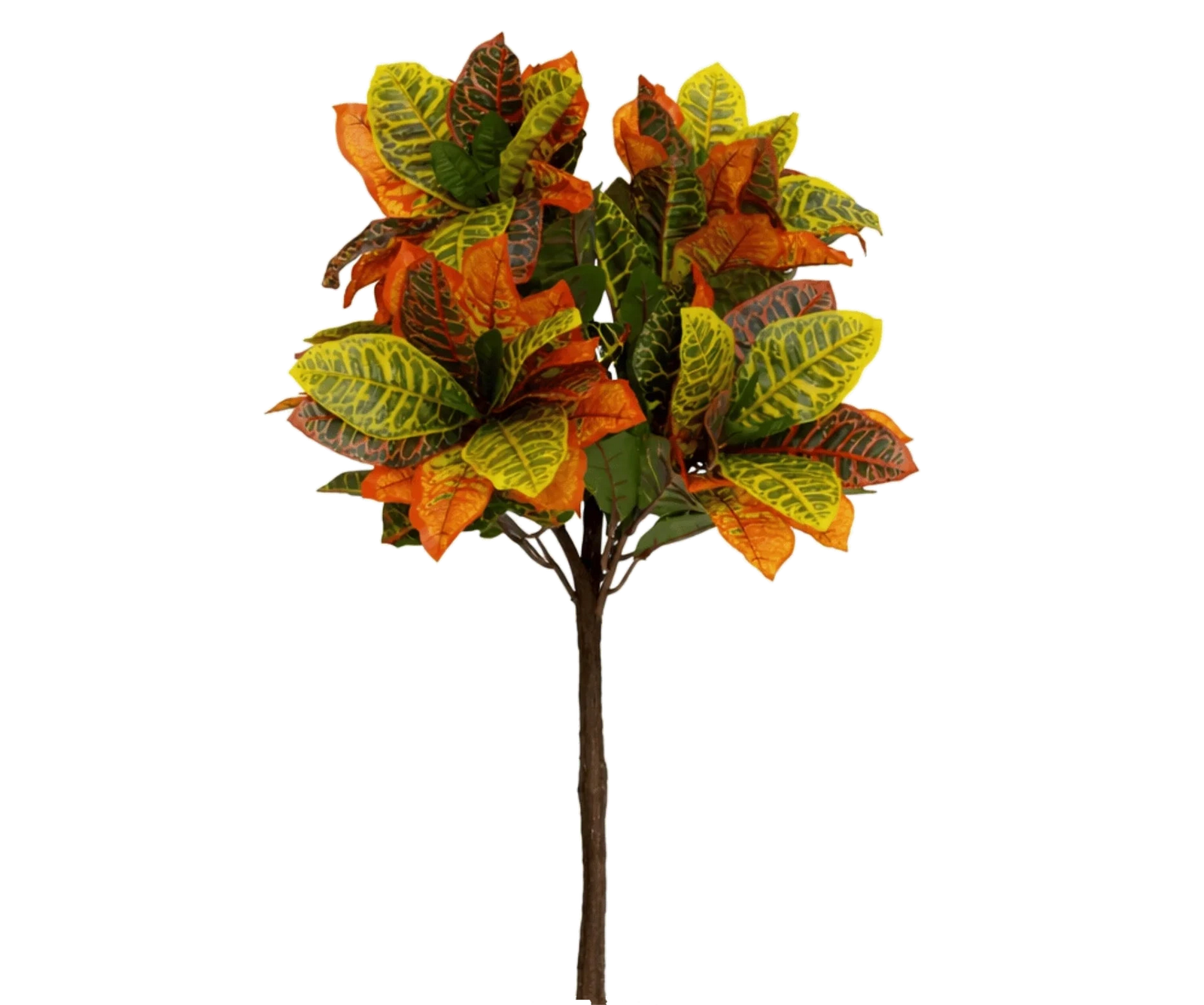 Codiaeum Wunderstrauch künstlich, H: 80cm
