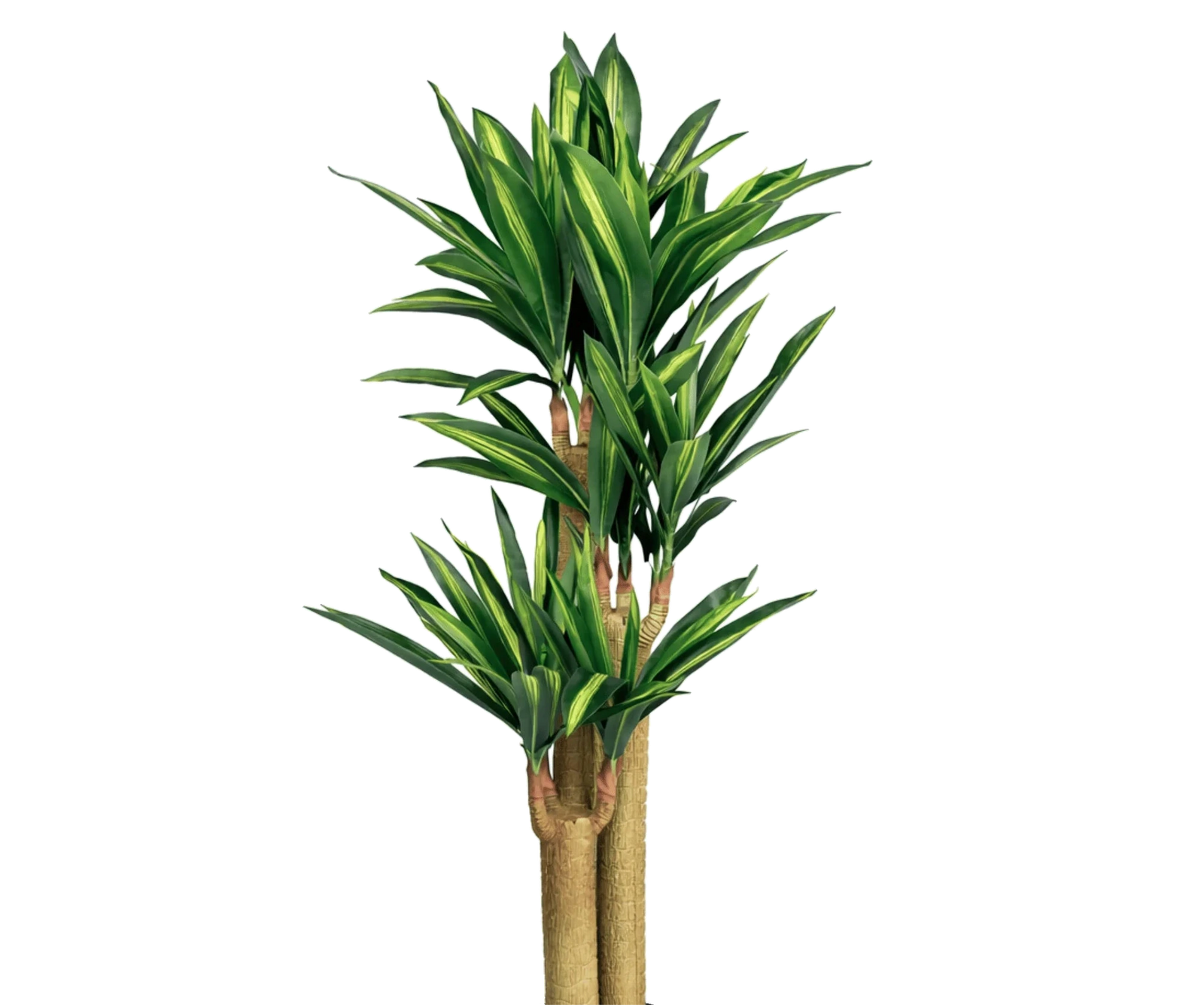 Dracaena Drachenbaum künstlich, H: 145cm
