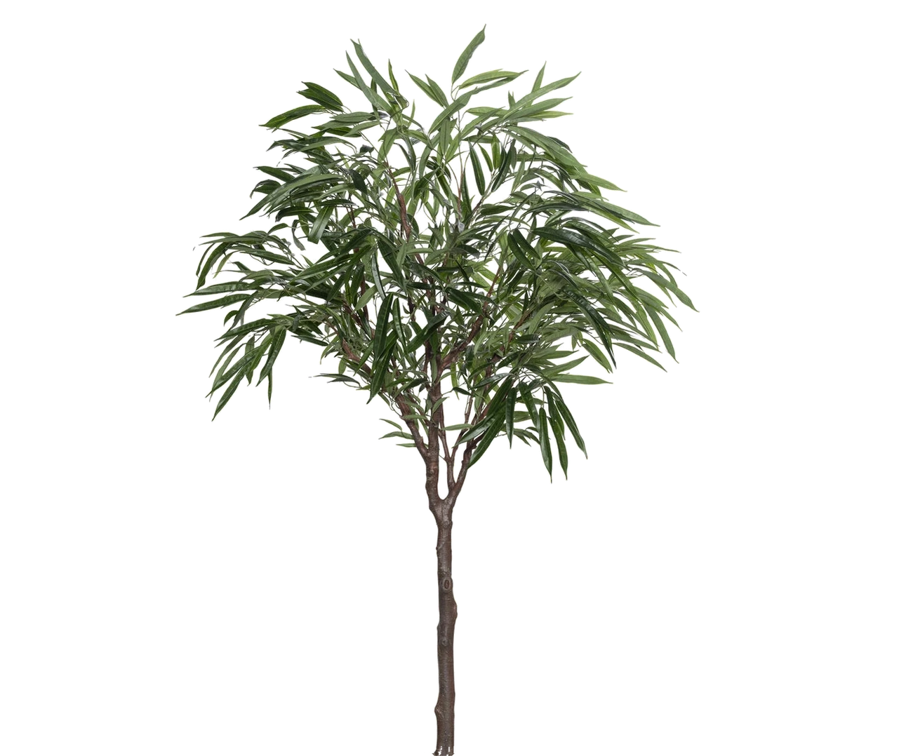 Ficus Alii künstlich, H: 180cm