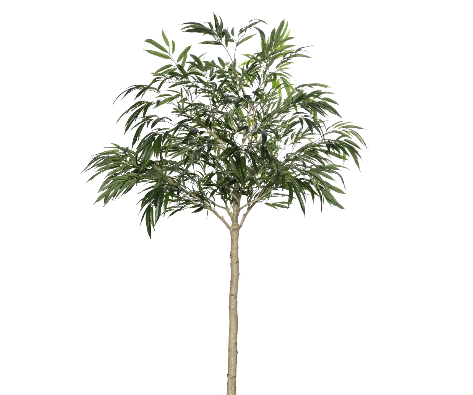 Ficus Alii künstlich, H: 230cm