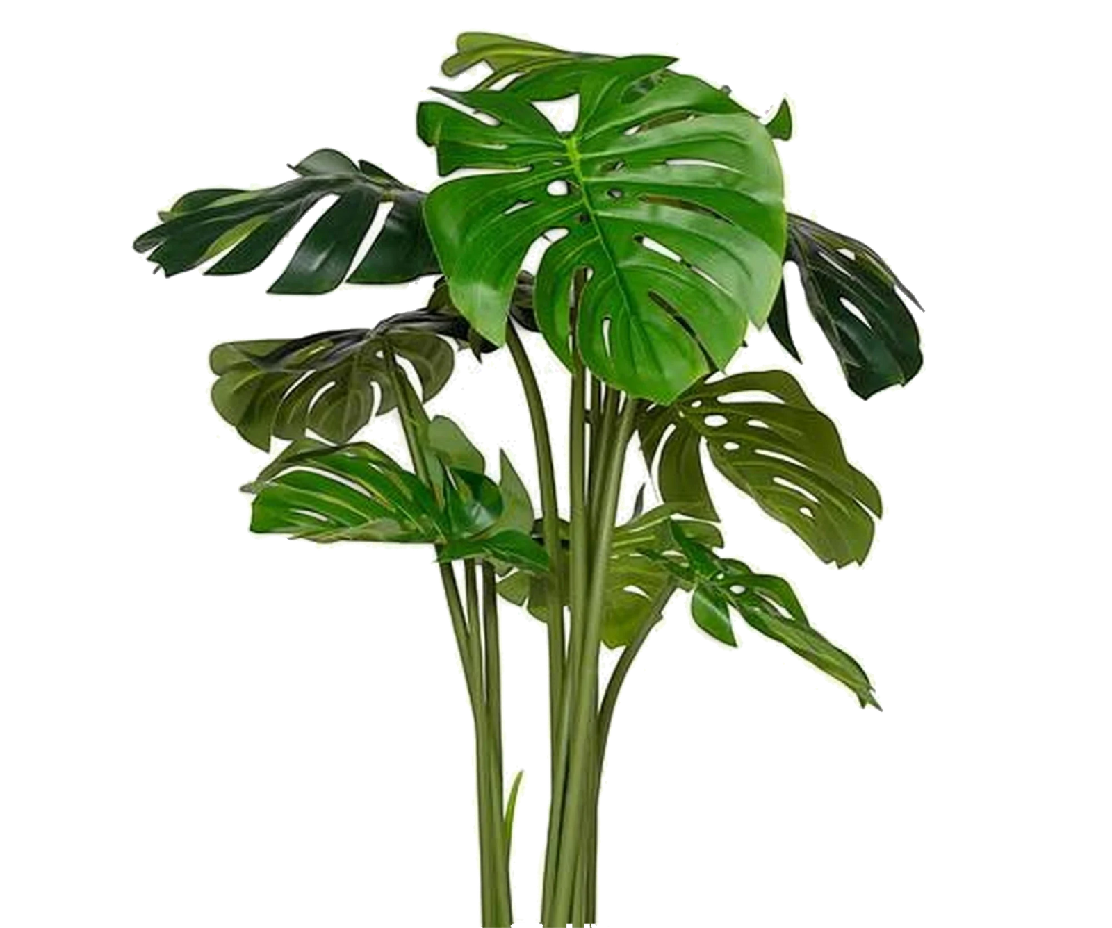 Monstera künstlich, H: 150cm