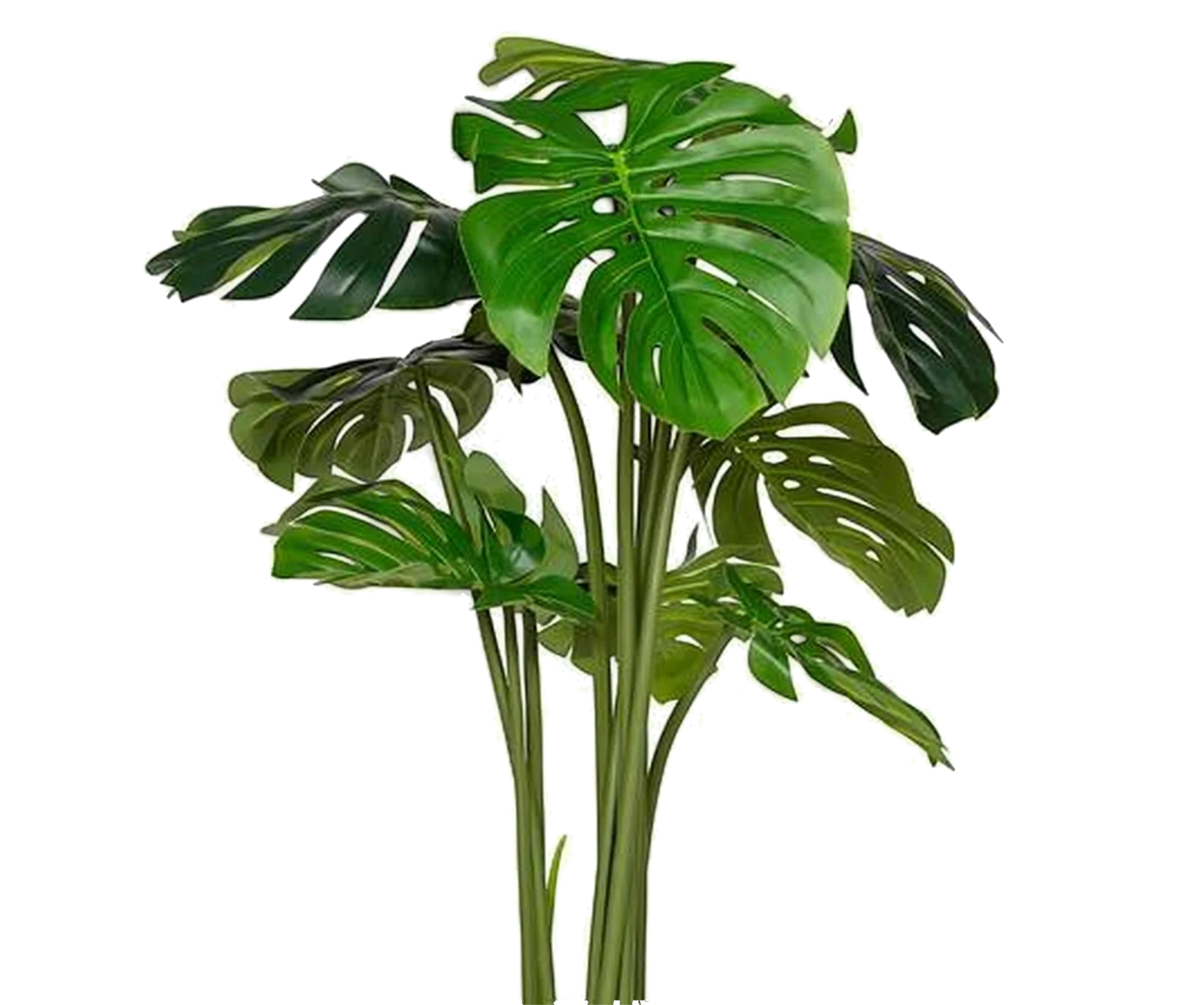 Monstera künstlich, H: 180cm