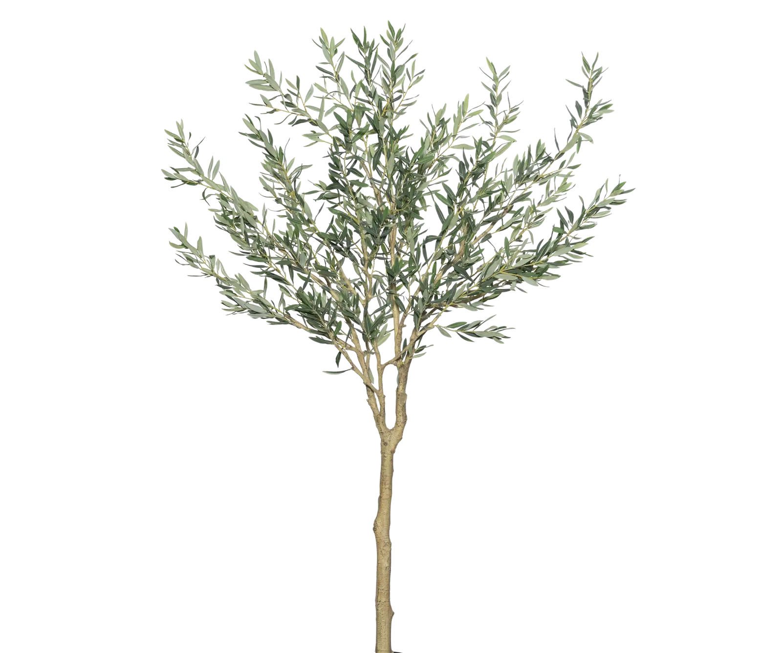 Olivenbaum auf Stamm künstlich, H: 180cm