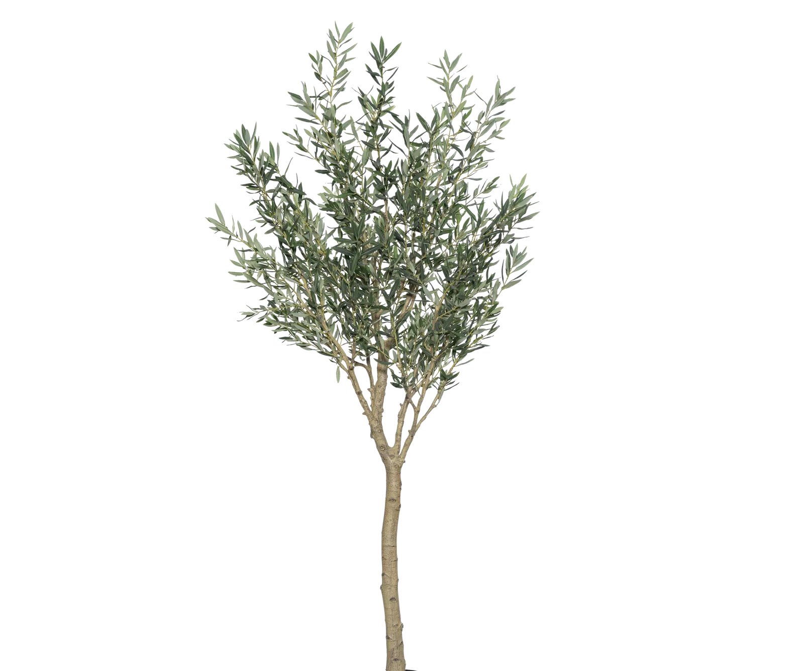 Olivenbaum auf Stamm künstlich, H: 240cm