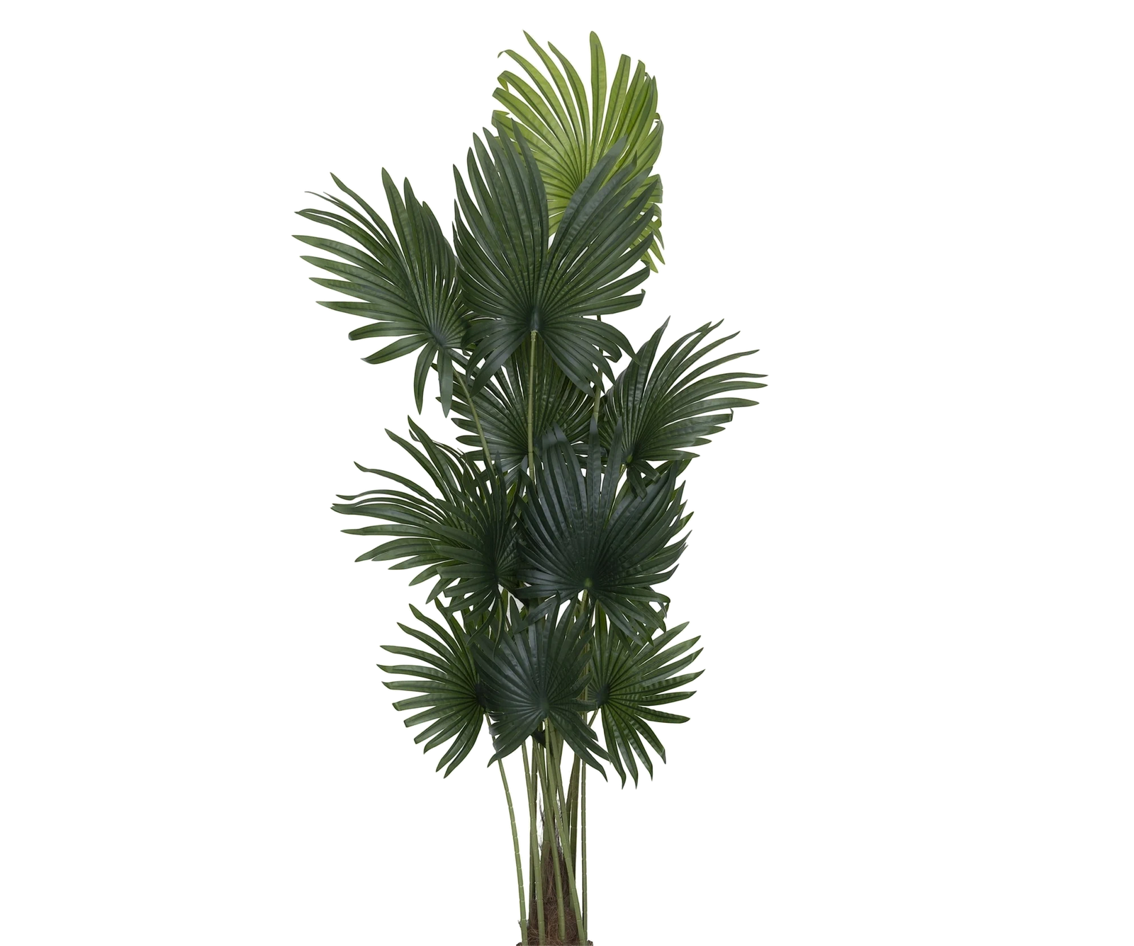 Palme künstlich, H: 200cm