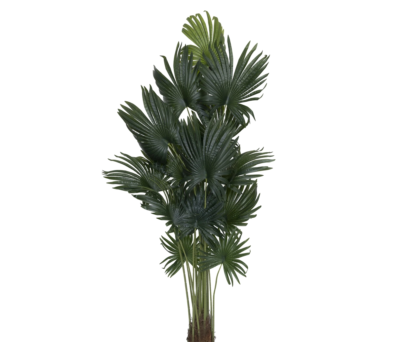 Palme künstlich, H: 220cm