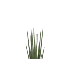 Konfigurator