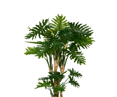 Philodendron Künstlich