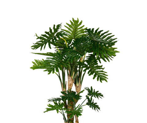 philodendron künstlich Philodendron Künstlich - Künstliche Pflanzen