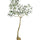 Queensland bottle Tree Kunstpflanze L 200cm-F1032-200-91