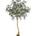 Queensland bottle Tree Kunstpflanze XL 240cm-F1032-240-91