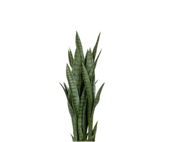 Konfigurator
