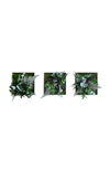 Pflanzenbild im Dschungeldesign 3er Set