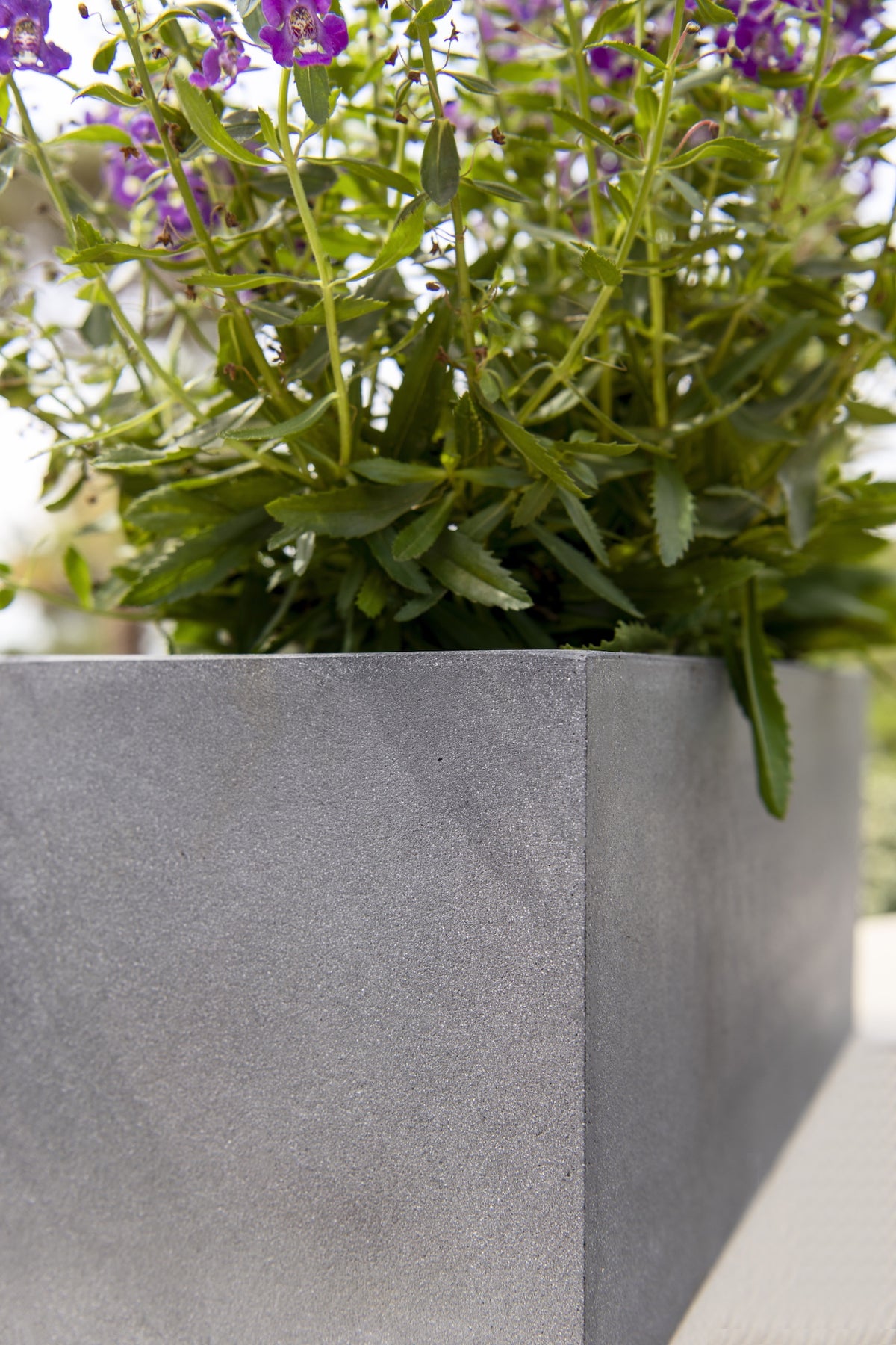 Balkonkasten aus Fiberstone in Grau – Balcony
