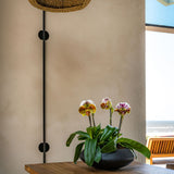 Tara Pflanzkübel Schwarz aus Fiberstone – freigestellt