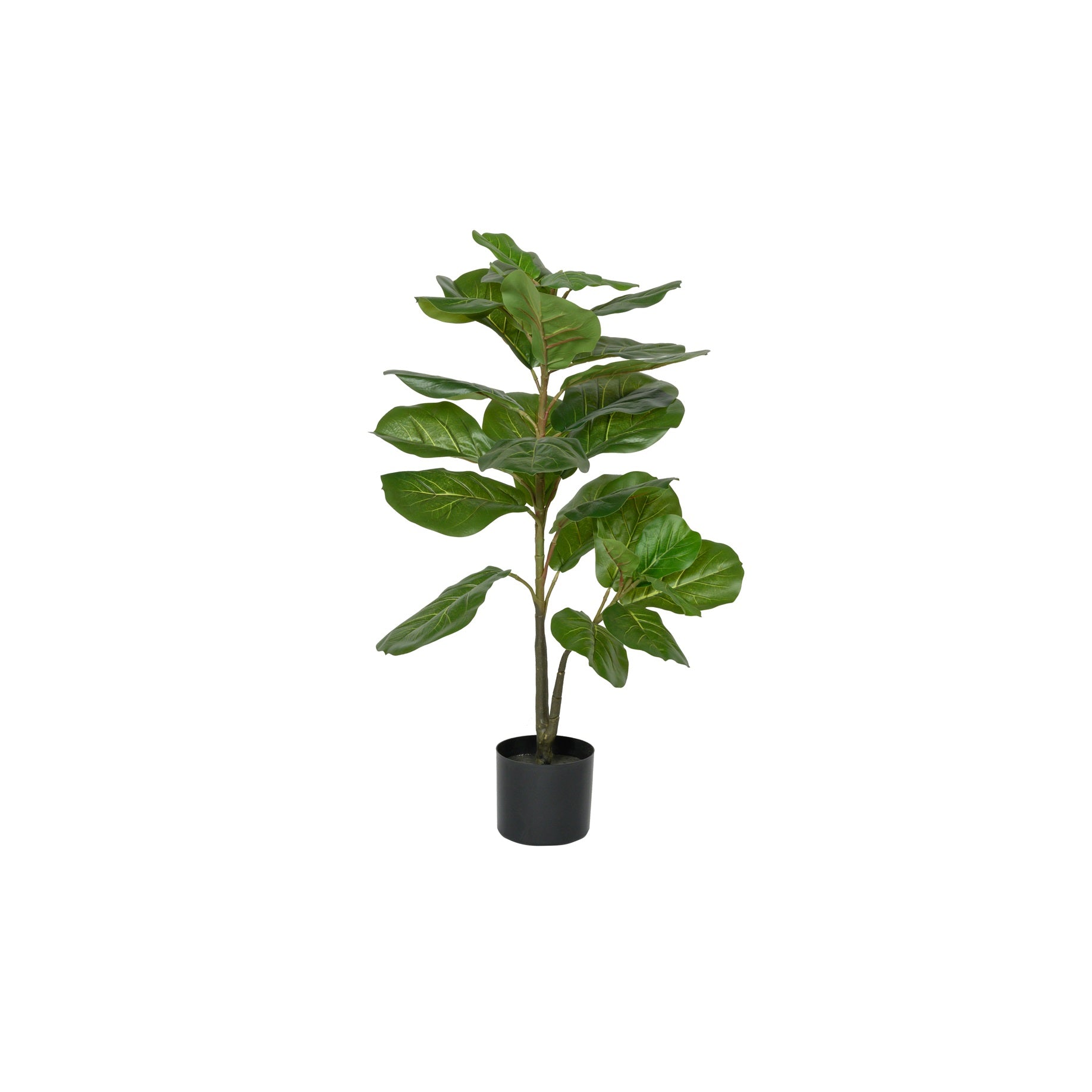 Kunstpflanze Feigenbaum 180 Cm Knstlich  Groe Geigenfeige Im Topf Mit  Kieselsteinen Fr Wohnzimmer & Bro