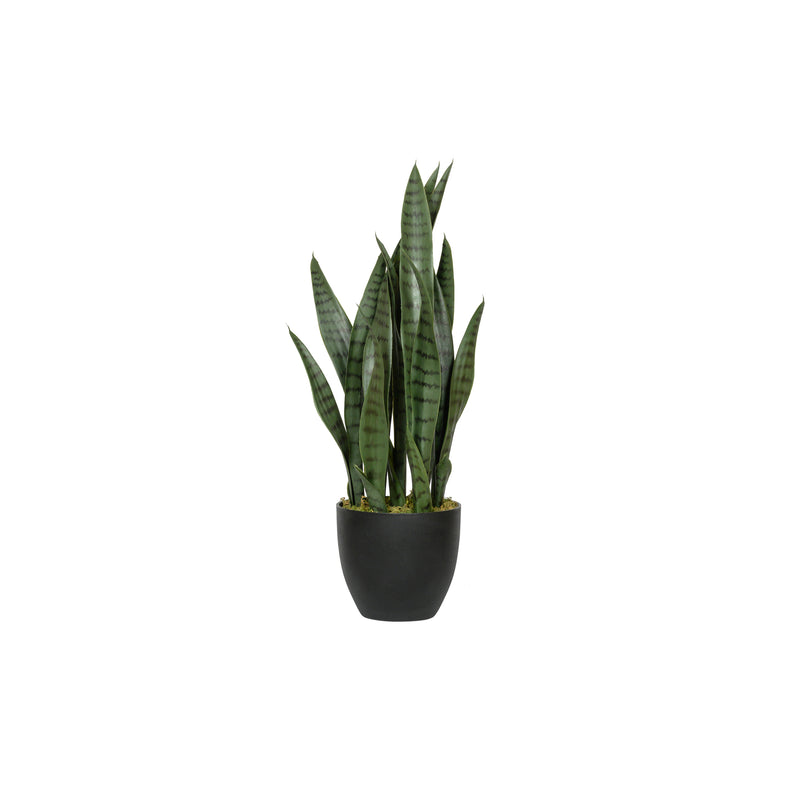 Sansevieria Künstlich - Künstliche Pflanzen | Finestgreen