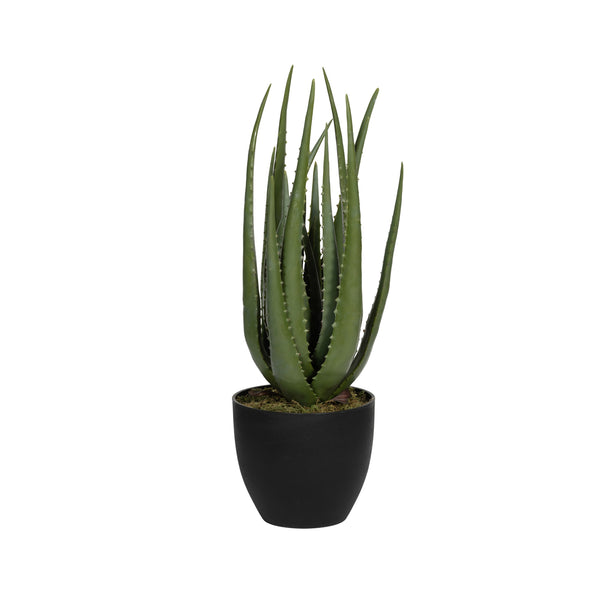Aloe Vera Künstlich H: 55cm