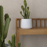 Patt White Washed