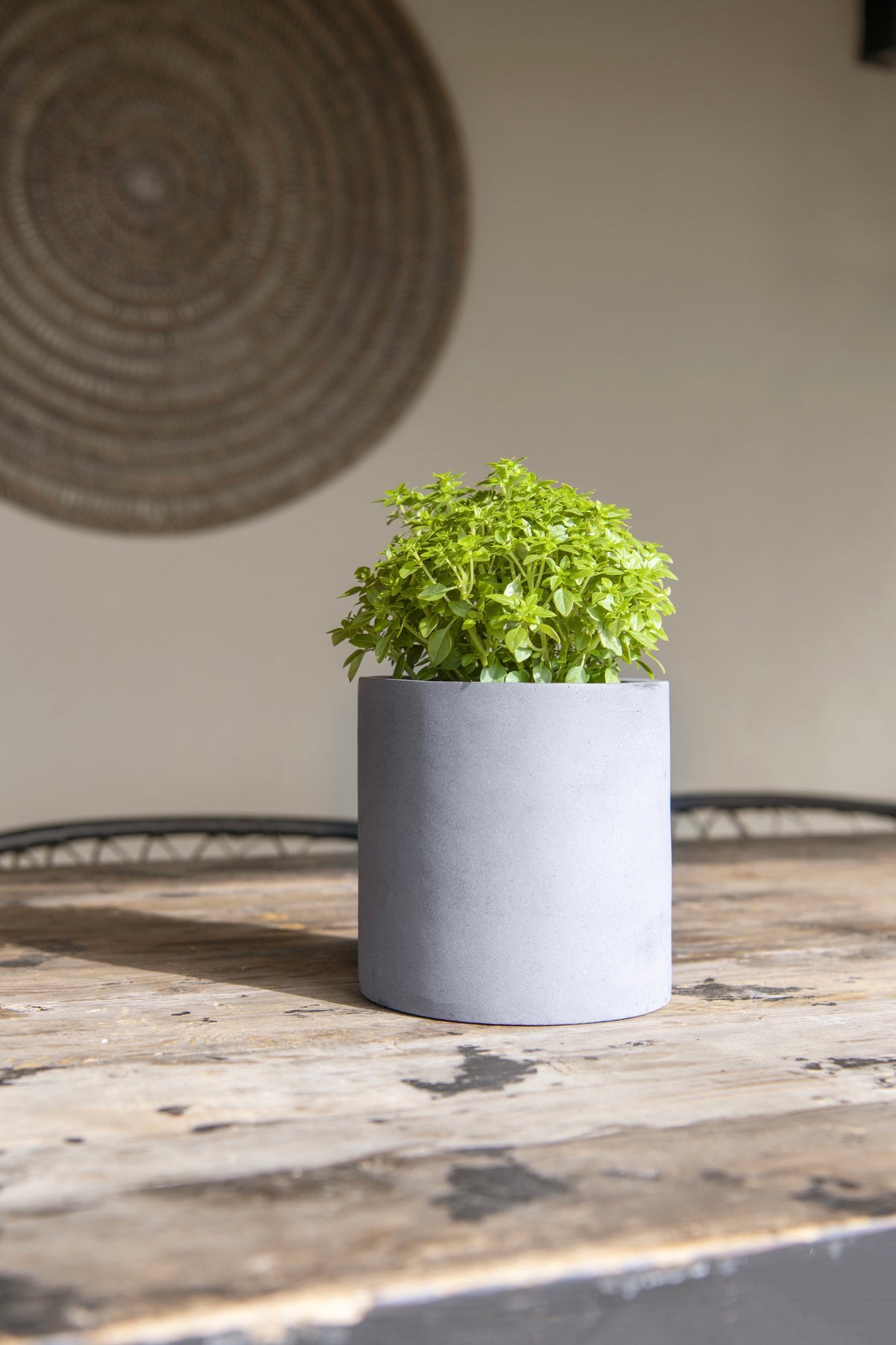 Übertopf Mini Max Grau, Zylinderform aus Fiberstone