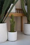 Kaktus Saguaro Künstlich H: 41 cm
