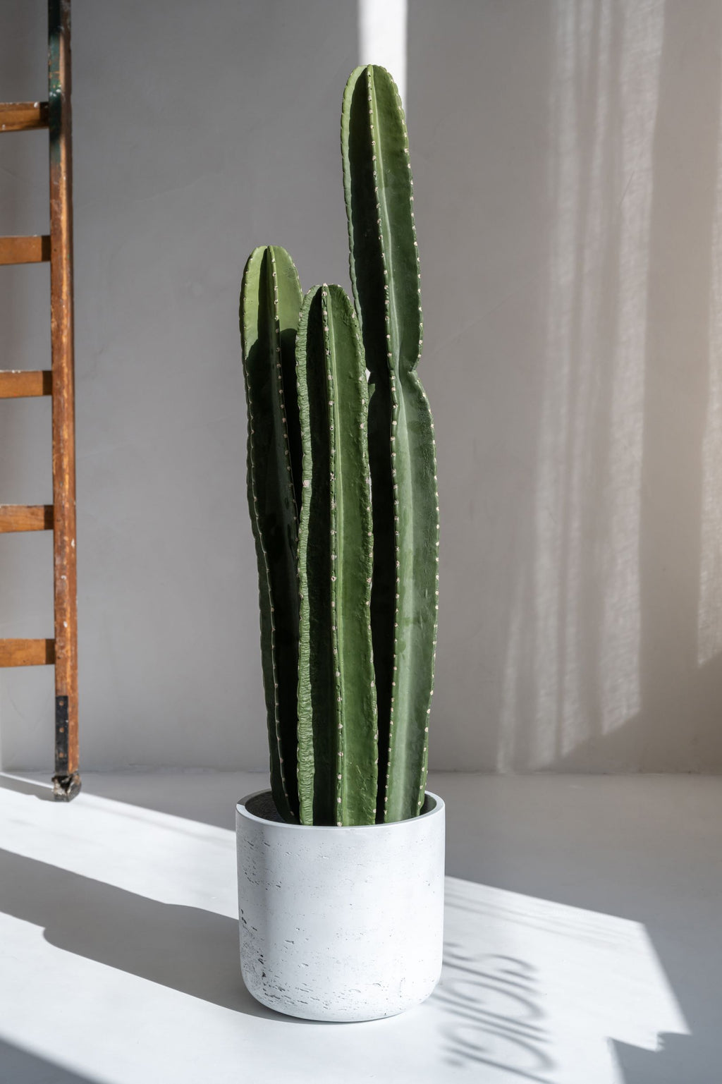 Kaktus San Pedro Knstlich - Knstliche Pflanzen | Finestgreen